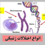 آزمایشگاه تخصصی اچ پی وی همدان1