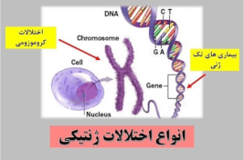 آزمایشگاه تخصصی اچ پی وی همدان1