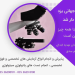 نوبل یزد