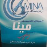 آز مینا